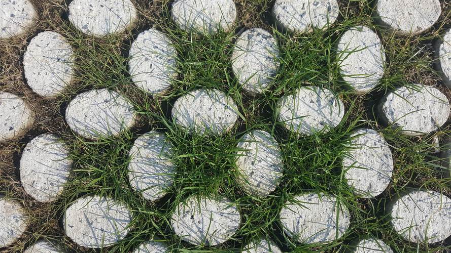 无锡周边植草地坪厂家直供 地坪工程一站式解决方案